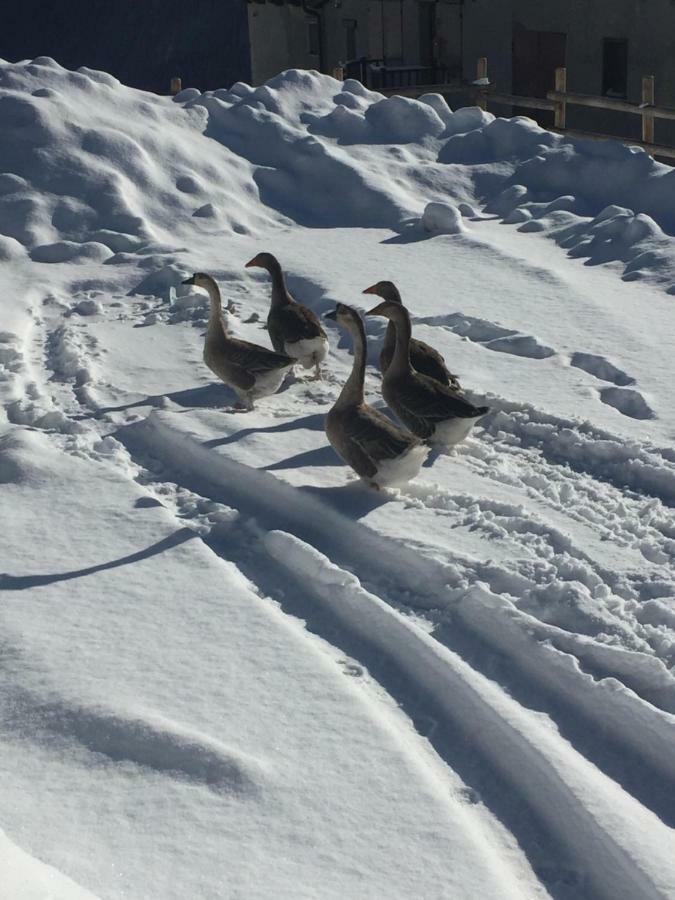 Relax Holiday Colle Colle Sestriere Esterno foto